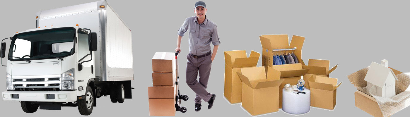 Domestic Home Packers Movers Truck